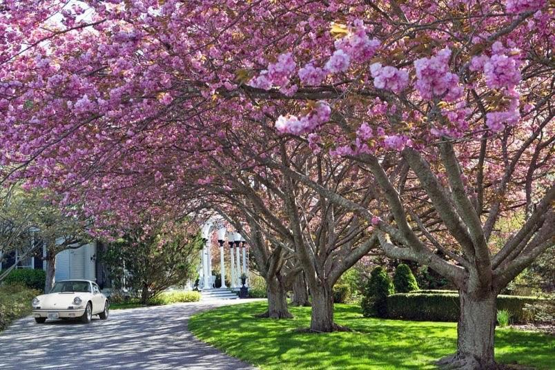 The Hamilton Hoppin House, Villa 120 Newport, Ri Middletown Buitenkant foto
